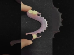 دندان مصنوعی والپلاست